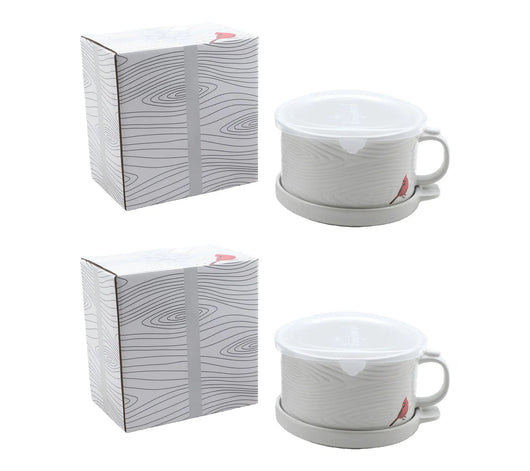 The Temp-tations 25oz Meal Mug Set